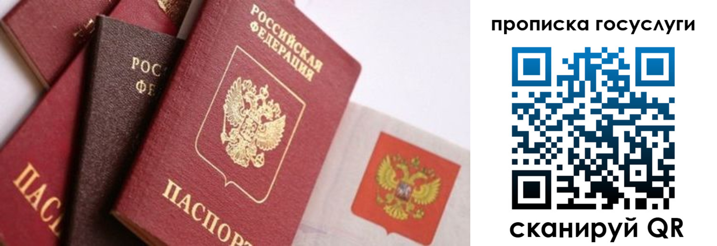 прописка законно в Арамили